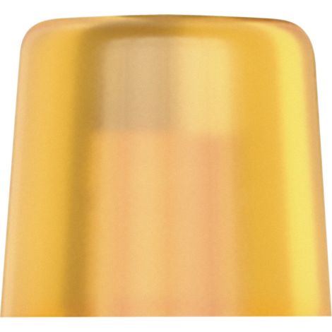 Wera 100 L Lose Köpfe aus Cellidor, für Hammer 100, 2 x 28 mm (1/4)