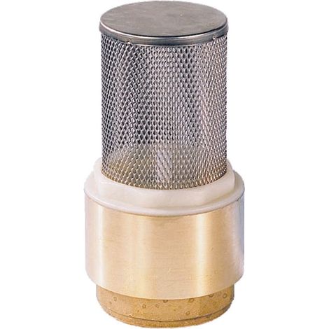Clapet anti-retour avec crépine inox - Femelle/Femelle - Série 310 102x114
