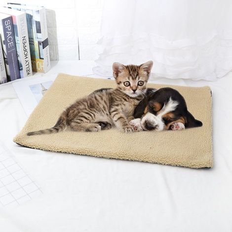 Coussin et tapis pour chat, niche chaude en laine d'agneau - Beige, 60 x 45 cm - (1/5)