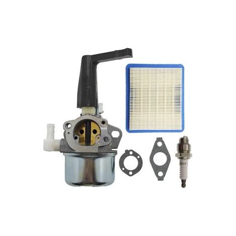 Carburateur polyvalent compatible 696065 et 697422, associé aux moteurs 5,5HP/6,5HP avec ensemble de filtration inclus. (1/5)