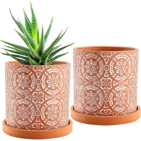 Deux pots en terre cuite de 13 cm de diamètre avec trous de drainage et soucoupes, adaptés à la plantation de cactus et de plantes succulentes. (1/4)