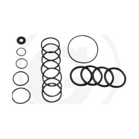 O-RING-Satz für Membranpumpe AR70 ANNOVI 6702365