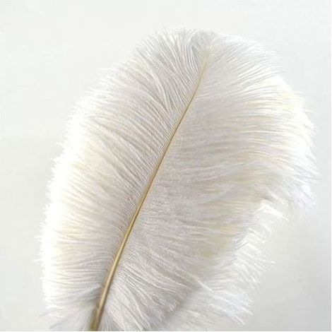 Lot de 10 plumes d’autruche blanches 30-35 cm – Plumes naturelles sélectionnées à la main – Décoration mariage et événements (1/5)