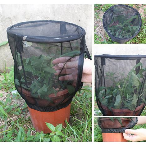 Filet de protection pour plantes avec fermeture éclair, sac en filet à mailles fines, housse pour plantes de jardin, protection pour fruits (1/4)