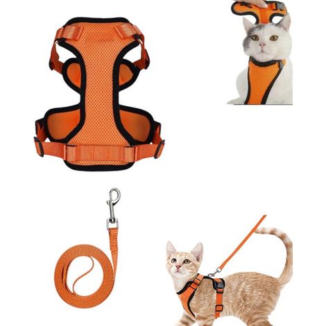 1 peigne pour chat - Brosse pour chien - Brosse pour chat - Brosse pour chien à poils longs - Brosse pour chien à poils courts - Brosse pour chat - Peigne démêlant - Anti-mue - Pour poils de chat oran (1/5)