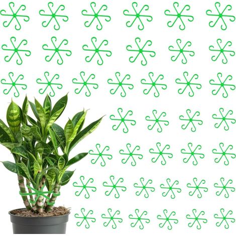 Filiyano-40 pièces - Tuteurs pour plantes grimpantes en plastique - Réutilisables - Supports pour plantes en pot - 13,5 cm, 11,7 cm, 7,7 cm, 5,8 cm (1/5)