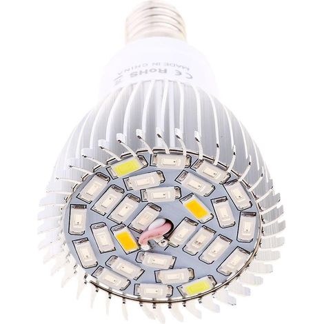 LED-Pflanzenwachstumslampe für Hydrokultur-Gewächshäuser E14 28W Vollspektrum (1/5)