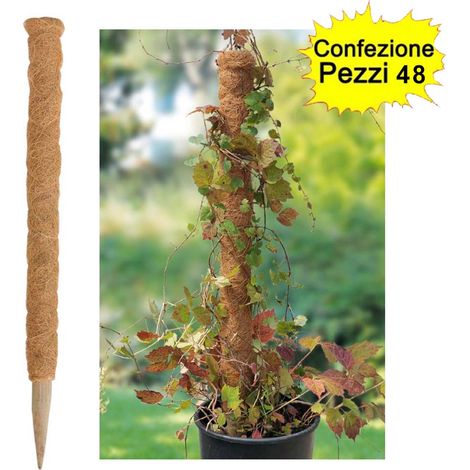 Tutori in legno fibra di cocco per rampicanti confezione da 48 pezzi 35-45 mm x altezza 40 cm