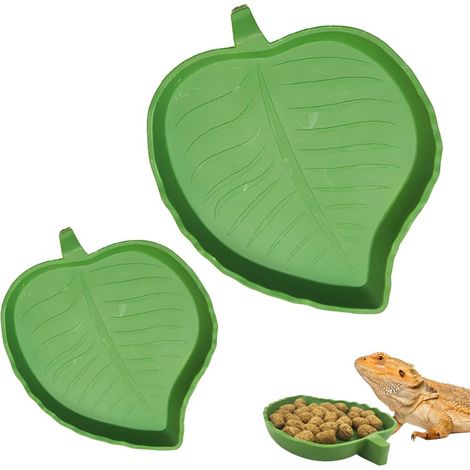 Terrarium Tortue Terrestre Bols Eau Nourriture Gamelles Reptiles Vert Forme Mangue Aile Taille Grand Petit (1/5)