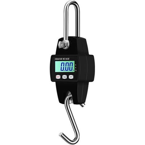 Bilancia per gru, bilancia per gru ad alta precisione da 300 kg, bilancia elettronica portatile sospesa con gancio in acciaio inossidabile, bilancia industriale digitale LCD kg/lb/n, funzioni multiple
