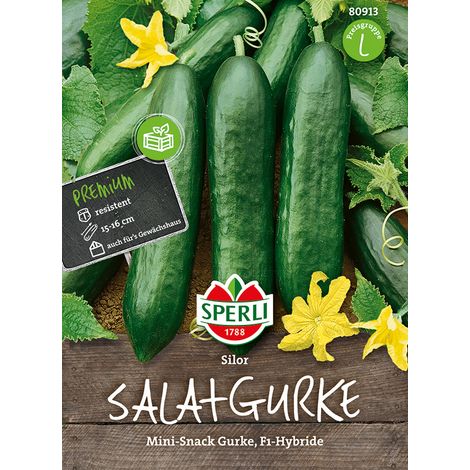 Sperli – Concombre Silor F1 (Cucumis sativus) – Graines de légumes, fruits de 15-16 cm, culture en plein air, sur balcon ou sous serre (1/2)