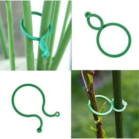 Clip di sostegno per piante rampicanti da giardino, 2 misure S/L, supporto ad anello per piante, supporto per piante di pomodoro, attrezzo, accessori decorativi per il giardino (1/3)