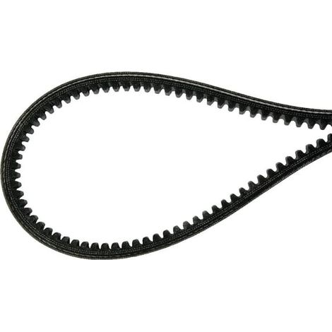 Courroie pour AGRIA AGW48175 (1/3)