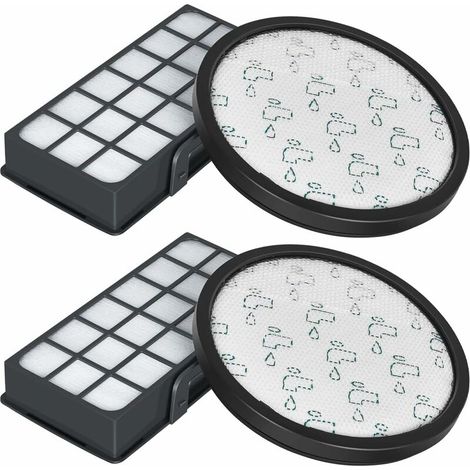 HEPA-Filter für Rowenta X-Trem Power Cyclonic RO6984EA RO6941EA RO6963EA RO6921EA RO6971EA RO6993EA (Modell RO69XX) Staubsauger, Ersatzfilterzubehör ZR006001 (2er-Pack) (1/5)