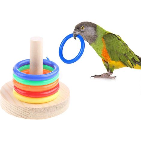 Jeu d'entraînement pour oiseaux : mini anneau de lancer de table pour perroquets, perruches et calopsittes (1/4)