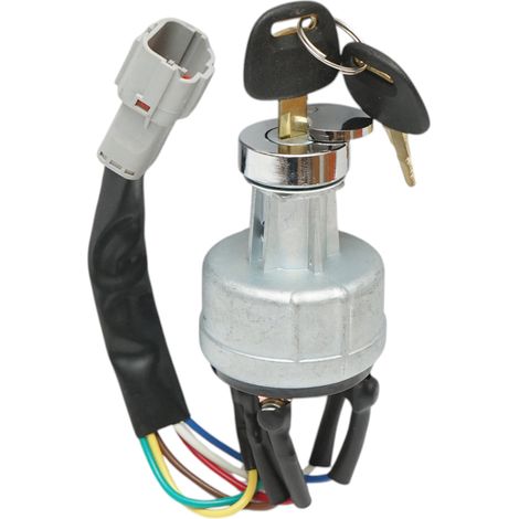 Contatto di avviamento tipo 116 con 2 chiavi Hyundai, Daewoo, Doosan codice OEM 21E61-0430, 21E160430, 21N410401 (1/5)