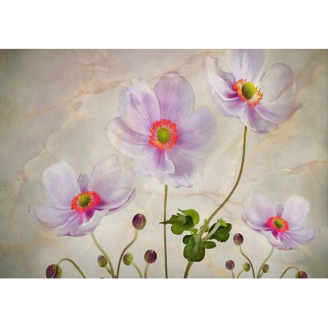 Papier peint panoramique - Fleurs - 130 cm x 91 cm (1/2)