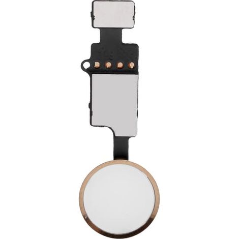 Module de remplacement de la nappe du bouton principal Home pour iPhone 7/7 Plus/8/8 Plus (Or) (1/5)
