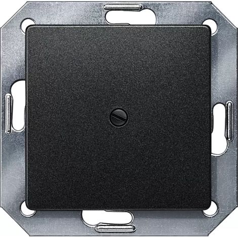 Blindplatte 55 x 55 mm in Metallic-Carbon Siemens Delta MIRO 5TG1220 (1/2)