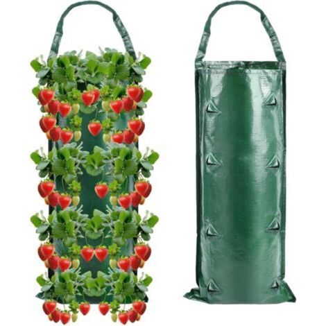 Sacs à fraises suspendus (lot de 2) à 8 trous - Sacs de plantation pour fraises - Sacs de culture pour fraises, légumes et fleurs (1/5)