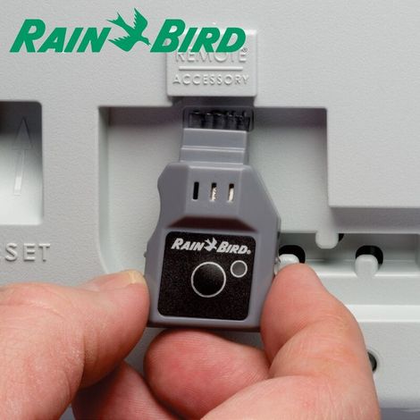 RZXe6i - Unidad-6 estaciones interna WiFi compatible