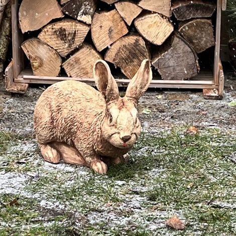 Adorable statuette de lapin - Décoration de jardin parfaite (1/5)
