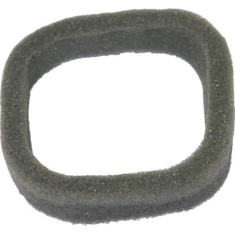 Filtro de aire motor desbrozadora cortasetos KASEI 1E4FL-E.1-1 310234