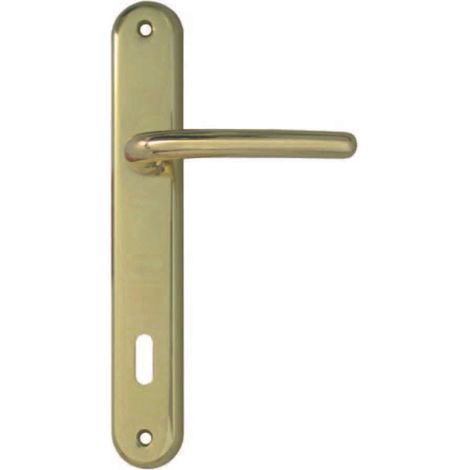 Maniglia vega con placca in zama finitura ottone lucido - mm.90 foro normale