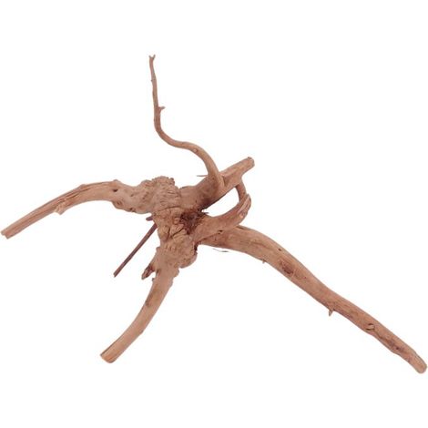 M Moorkienwurzel Nr.4412 Holz Deko Aquascaping
