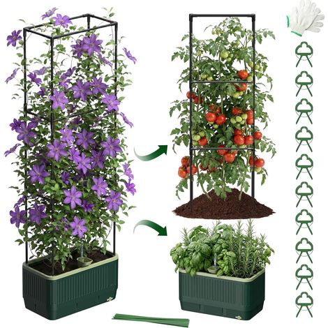 Self-Watering Tomato Pot with Climbing Stand, 130cm Planter Tray with Trellis, Garden Stairs with Grow Tray, Raised Pot for Climbing Plants (1/5)