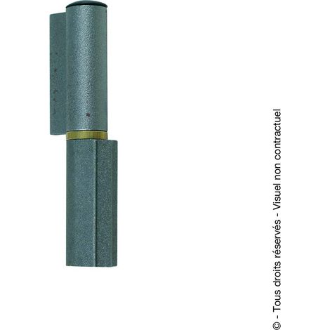 Scharniere Faure-et-fils soudan 140 Stahl Messingring