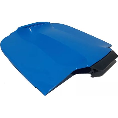 Tapa del filtro con pestillo Dolphin Maytronics – 99952119 (1/2)