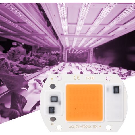 Lot de 2 puces LED COB 20W AC110V haute luminosité pour lampe de plantes (1/5)