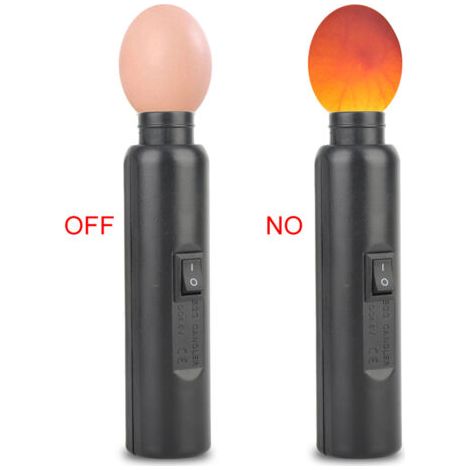 Pair - Incubateur miniature automatique à éclairage LED pour expériences (exclusif) (1/5)
