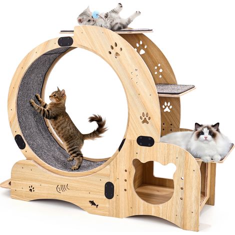 Roue pour chat 6-en-1 roue d'exercice pour chat, roue d'exercice améliorée pour chats d'intérieur, grand tapis roulant pour chat, roue de course pour chat avec roue silencieuse, roue de marche pour ch