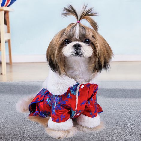Manteau chaud en coton rouge épais, doux et confortable, idéal pour l'automne et l'hiver avec votre chien. Taille M. (1/5)