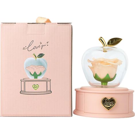Fleurs éternelles préservées, véritables fleurs préservées à l'infini, avec tiroir de rangement, fleurs éternelles pour la Saint-Valentin, tiroir de rangement éternel (1/5)