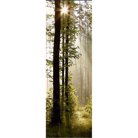 Poster Thème foret - 90 x 270 cm (1/3)