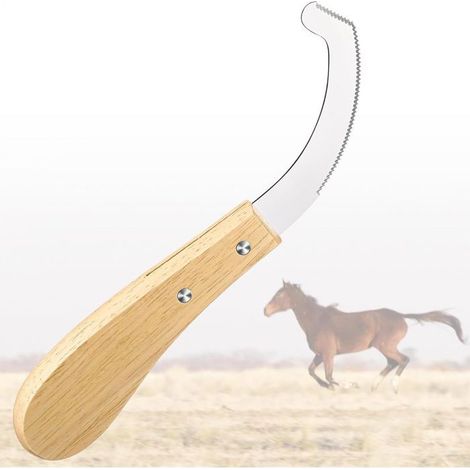 Outil d'Enlèvement des Œufs de Gastérophile pour Chevaux Grattoir à Décaper Couteaux Pour L'Enlèvement Des Œufs Mouche Bot