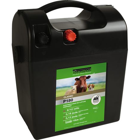 Poste pile CLASSIC P180 BEAUMONT (1/5)