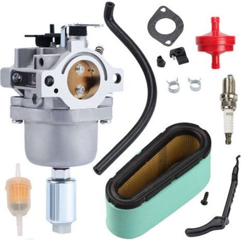 Carburateur Briggs & Stratton pour moteurs 14.5 HP/15.5 HP – Compatible modèles 287707 310707 (1/4)