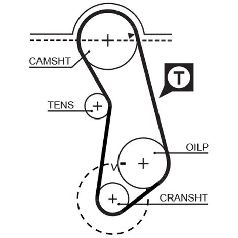 Courroie crantée Gates 5016 AUDI 026109119C 037109119B 056109119A PMTB16