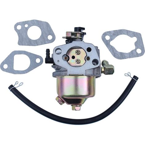 Carburateur pour souffleuse à neige Troy-Bilt Storm 2410 2420 2620 2690 2690XP MTD 170-SU (1/5)