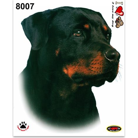 Adesivi Stickers Medi Cane Rottweiler 13,5 x 16 cm