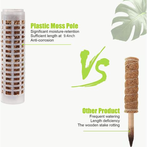 16 tuteurs en fibre de coco 25 cm avec socle – Aide à la fixation des plantes grimpantes – Pour orchidées, lierre ou philodendron (1/5)