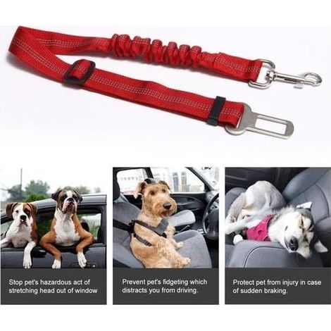 Ceinture de sécurité pour chien et chat en nylon rouge réglable 46-68 cm (1/4)