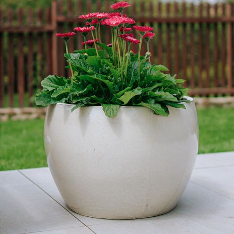 Vaso ROMULUS 42x30cm crema (1/5)