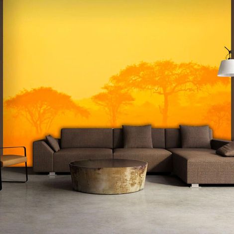Papier peint savane orange - 300 x 230 cm (1/4)