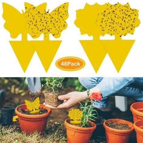 48Pcs plug-in piège à mouches plaques autocollant plante de protection contre les pucerons, les mouches des feuilles et la vermine-Ywey (1/4)