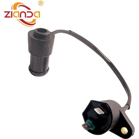 Adaptateur de bobine d'allumage 306001-0012-02 SKY TEAM ST 125-1 T-Rex Skymax (1/5)